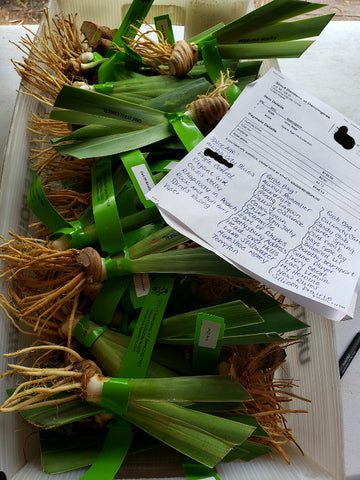 Grab Bags (7 named varieties)