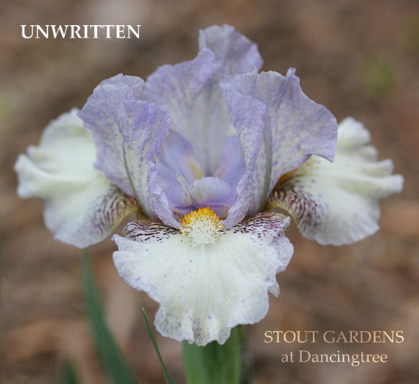Iris Unwritten