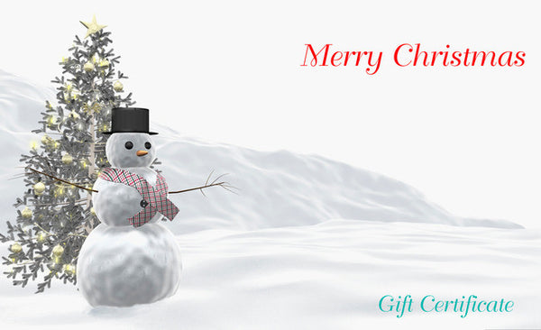 GIFT CERTIFICATE $25