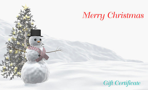 Gift Certificate $25