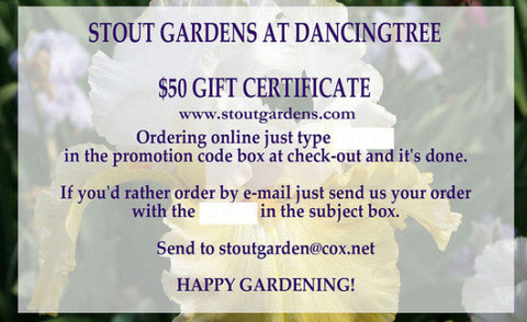 Gift Certificate $100