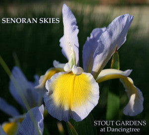 iris Sonoran Skies