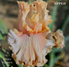 Iris Apped
