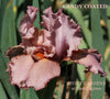 Pink fringed iris flower with 'Candy Coated' text and 'Stout Gardens at Dancingtree' branding.