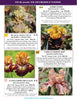 Catalog page featuring tall bearded iris flowers with product descriptions and pricing.