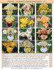 2026 Stout Gardens at Dancingtree catalog page of standard dwarf bearded iris with various colors and names.