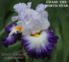Iris Chase The North Star