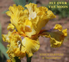 Iris Fly Over The Moon