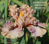 Iris Gossamer Dragon