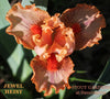 Iris Jewel Heist