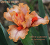 Iris Jewel Heist