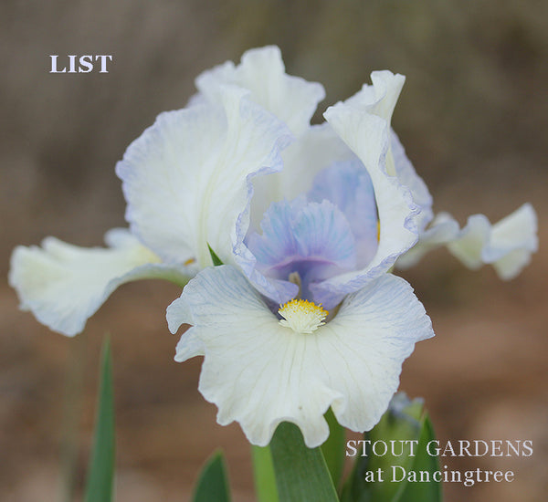 Iris List