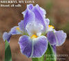 Iris Sherryl My Love