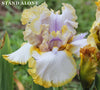 Iris Stand Alone