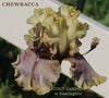 Space age tall bearded iris with 'CHEWBACCA' and 'STOUT GARDENS at Dancingtree' text