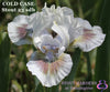 White standard dwarf bearded iris with purple spot 'Cold Case' by Hugh Stout Jr. in the garden at 'Stout Gardens at Dancingtree'.