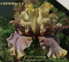 Tall bearded iris with 'CHEWBACCA' and 'STOUT GARDENS at Dancingtree' text