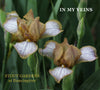 Miniature tall bearded iris 'In My Veins' is pictured showing two flowers, white with bronze and yellow standards and edge at 'Stout Gardens At Dancingtree'.