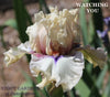 Close-up of a white and pink iris flower with text 'WATCHING YOU' and 'STOUT GARDENS at Dancingtree' location.