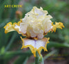 Iris Art Critic