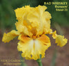 Iris Bad Whiskey