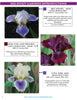 2025 Stout Gardens Catalog