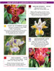 2025 Stout Gardens Catalog Overseas