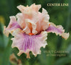 Iris Center Line