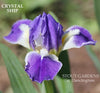 Iris Crystal Ship
