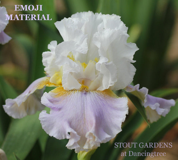 Iris Emoji Material