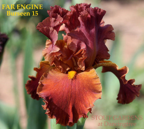 Iris Far Engine