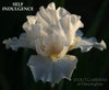 White intermediate bearded iris flower named 'SELF INDULGENCE' at 'Stout Gardens at Dancingtree'.