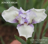 Iris Joyous High