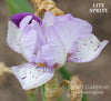 Iris Lite Sprite