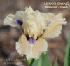 Iris Minor Swing