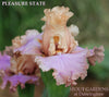 Iris Pleasure State