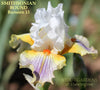 Iris Smithsonian Bound