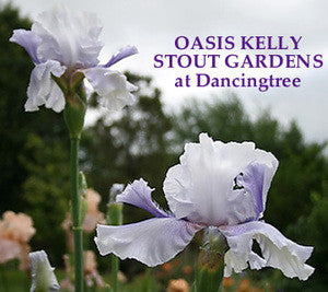 Iris OASIS KELLY