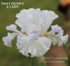 White space-age tall bearded iris flower named  'THAT DUDE'S A LADY' at 'STOUT GARDENS at Dancingtree'.
